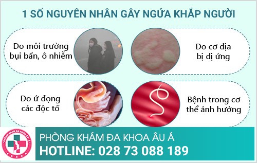 Ngứa khắp người