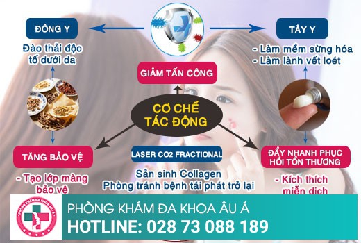 Cách trị ghẻ an toàn và hiệu quả trong 1 lần áp dụng